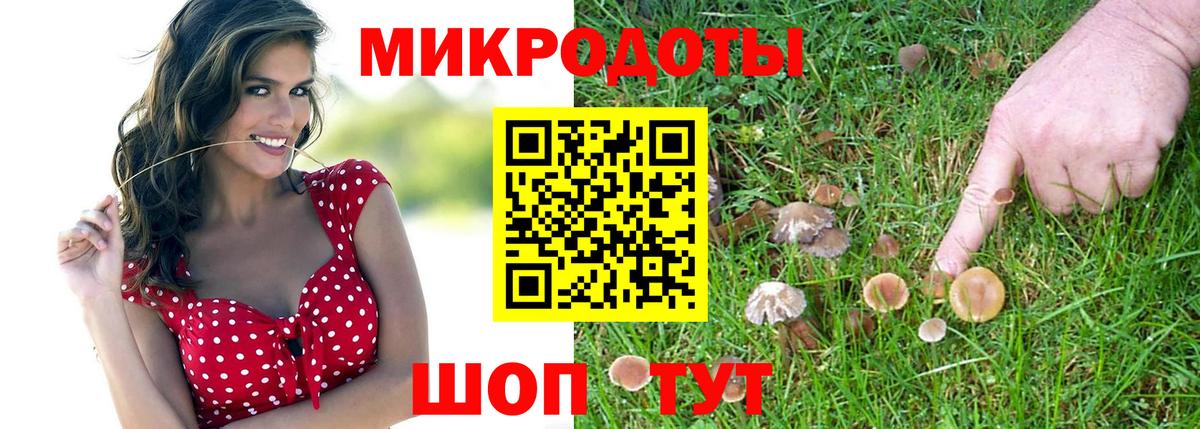 Галлюциногенные грибы Psilocybe Зеленокумск