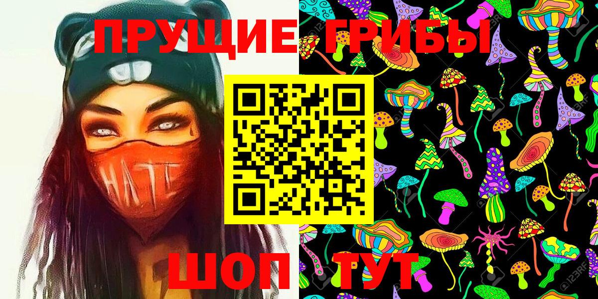 купить  сайты  Вход с VPN  Зеленокумск  Псилоцибиновые грибы Cubensis 
