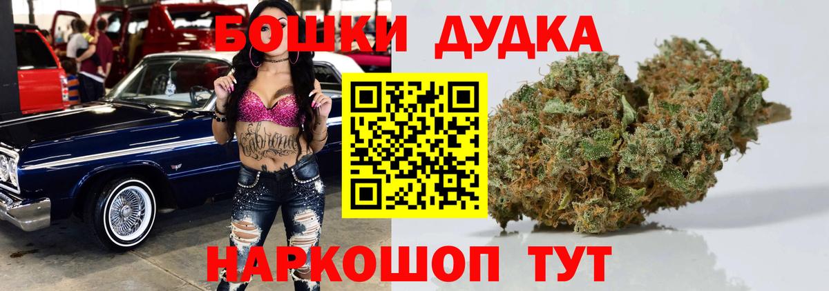 МЕФ Зеленокумск